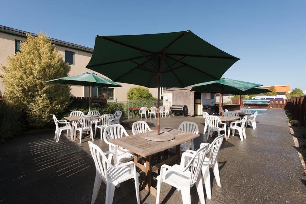 Lobster Inn Motel Кайкура Екстериор снимка